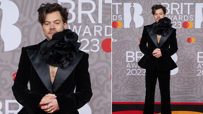 Harry Styles from a red carpet event
